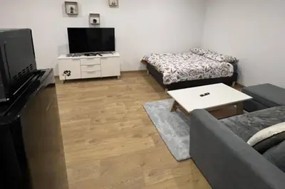 Télévision ou salle de divertissement dans l'établissement Joli Studio