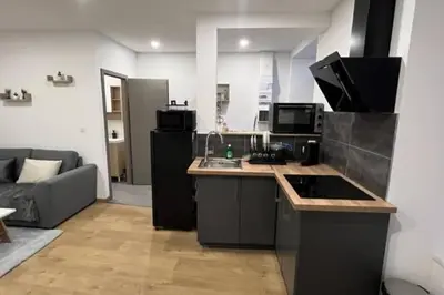 Cuisine ou kitchenette dans l'établissement Joli Studio