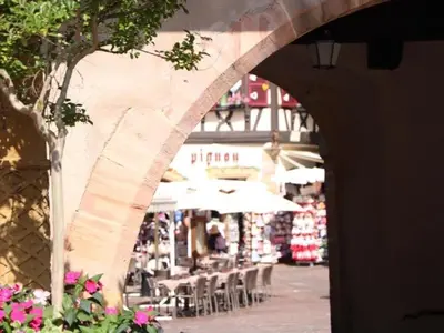Restaurant ou autre lieu de restauration dans l'établissement Appartement spacieux à Colmar avec terrasse, garage privatif, proche centre et gare - FR-1-722-2