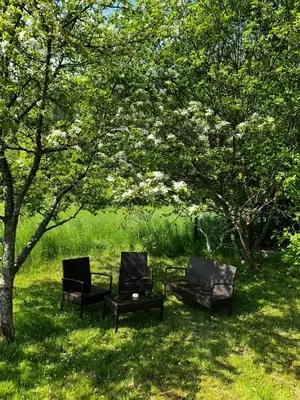 Jardin de l'établissement CAN appart spacieux avec grand jardin et terrasse 1 à 8 pers