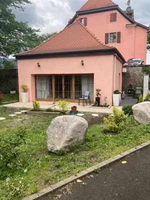 Jardin de l'établissement Magic Valley