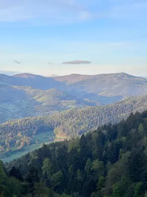 Paysage naturel près de le B&B/chambre d'hôtes