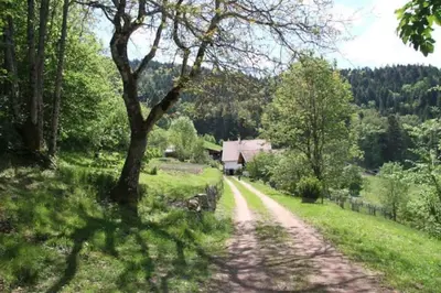 Paysage naturel près de le chalet