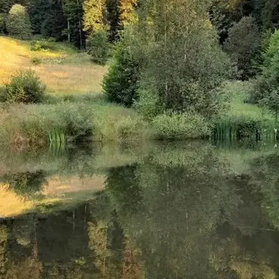 RELAX CHALET Nature Retreat - isolé sur 3 hectares - confort de LUXE - maison entière 150m2 - près de La Bresse