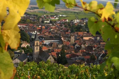 Vue générale sur Ribeauvillé ou vue de la ville depuis la maison d'hôtes