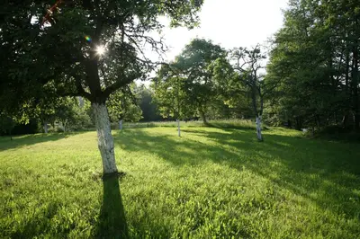 Jardin de l'établissement Domaine La Bonne Dame - Hirondelle, au coeur des Vosges
