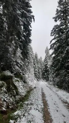 Plan de l'établissement appartement proche gerardmer