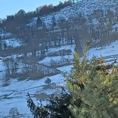 La colline de pam
