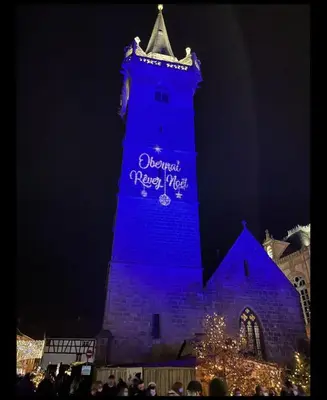 Plan de l'établissement Gite Junior L'Ecrin du Ried PROCHE EUROPA-PARK