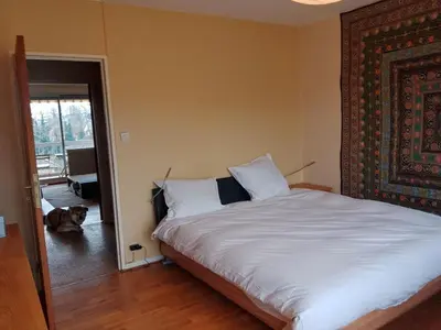Un ou plusieurs lits dans un hébergement de l'établissement Appartement avec balcon : Le Serenity