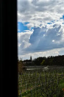 Plan de l'établissement Appartements de Manon au cœur des vignes