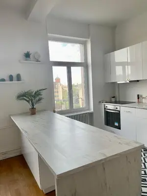 Cuisine ou kitchenette dans l'établissement Nid urbain Colmarien - 4 personnes - garage