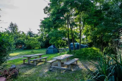 Jardin de l'établissement Camping Onlycamp Vauban