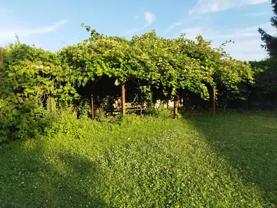 Jardin de l'établissement RIVER side - cosy - lot of space
