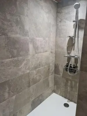 Salle de bains dans l'établissement Appartement Proche Aéroport Bâle/Mulhouse