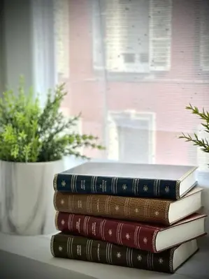 Bibliothèque dans l'appartement