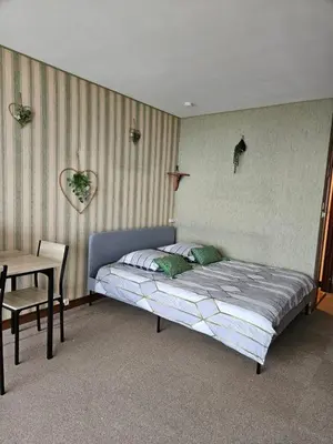 Un ou plusieurs lits dans un hébergement de l'établissement LE PANORAMA studio privé avec vue magnifique TURCKHEIM TROIS ÉPIS