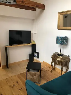 Télévision ou salle de divertissement dans l'établissement Dépendance de charme - Tiny house