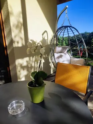 Coin salon dans l'établissement Alsace Chalet & Spa Meyer-Krumb