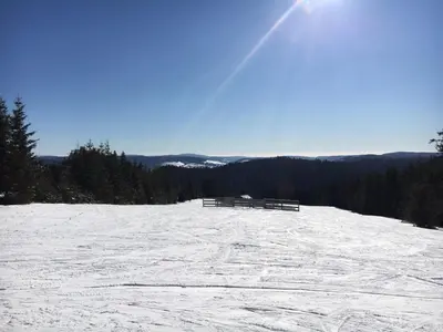 L'établissement appt F3 - La Bresse/Cornimont en hiver