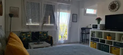 Télévision ou salle de divertissement dans l'établissement Studio KULLA avec terasse 5mn Basel Airport