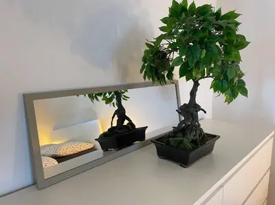 Plan de l'établissement Magnifique appartement à la frontière suisse