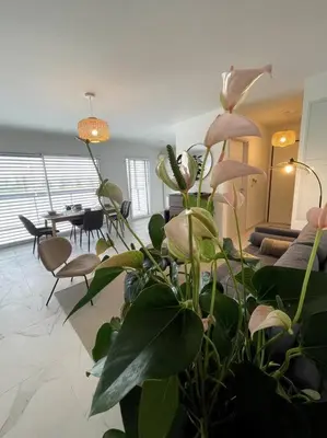 Coin salon dans l'établissement Magnifique appartement à la frontière suisse