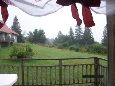 Jardin de l'établissement Les Angéliques