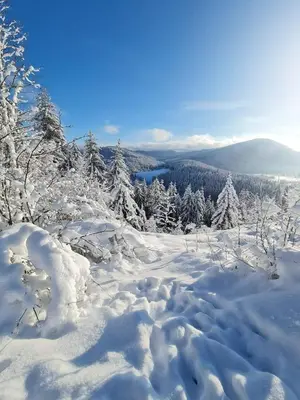 L'établissement Gites de le musre en hiver