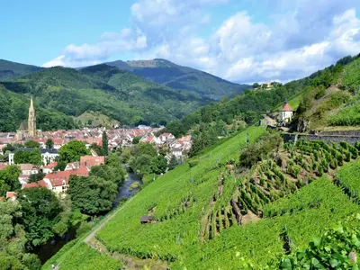 Paysage naturel près de la maison de vacances
