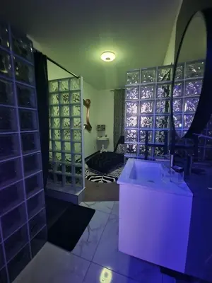 Plan de l'établissement Appartement spacieux MULHOUSE