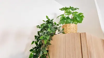 Plan de l'établissement Le Ptit Paradis - Calme - Wifi - Cour privée - Relax BNB