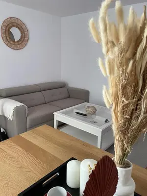 Coin salon dans l'établissement Appartement la petite Venise