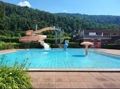 Piscine de l'établissement David ou située à proximité