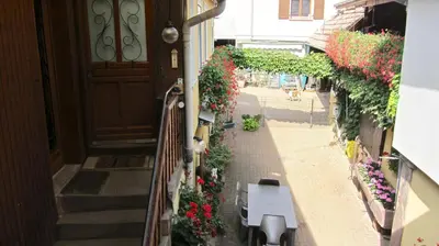 Jardin de l'établissement Gîte du Vignoble