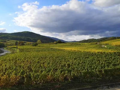 Paysage naturel près de l'appartement