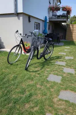 Vélo sur le terrain de l'établissement Gîte le petit wintz 4 personnes avec son jardin privatif - Parking avec borne de recharge pour véhicule électrique 22Kw - 2 vélos ou dans les environs