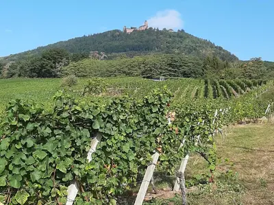 Vue générale sur la montagne ou vue sur la montagne depuis la maison de vacances
