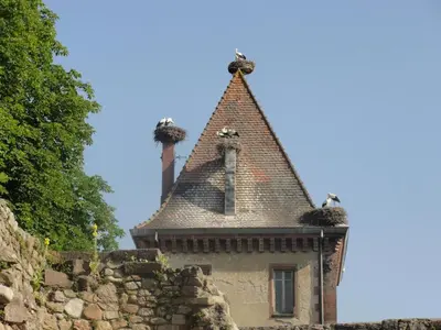 Plan de l'établissement Gîte au calme avec 2 chambres, terrasse, jardin, BBQ et parking inclus à Breitenbach-Haut-Rhin - FR-1-744-42