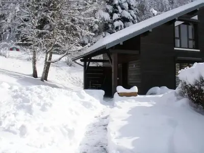 L'établissement Appartement charmant à Vagney de 56 m² avec vue montagne. en hiver