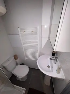 Salle de bains dans l'établissement Le 11 - Joli F2 rénové, Mulhouse centre - stationnement gratuit