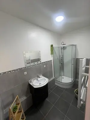 Salle de bains dans l'établissement Appartement calme La Bresse animaux admis