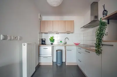 Cuisine ou kitchenette dans l'établissement Appart' du Trident
