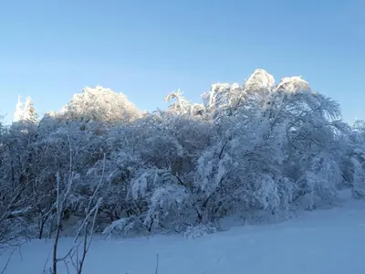 L'établissement Les Chantenées en hiver