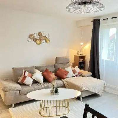 CICONIA : CENTRE-VILLE MULHOUSE