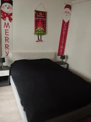 Un ou plusieurs lits dans un hébergement de l'établissement Charmant appartement de 3 pièces, Colmar