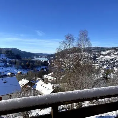 F3 Superbe vue lac