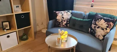 Coin salon dans l'établissement Studio KAAN avec terasse 5mn Basel Airport