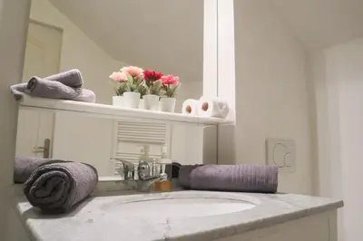 Plan de l'établissement Petit Loft Centre Ville Historique proche GARE TGV