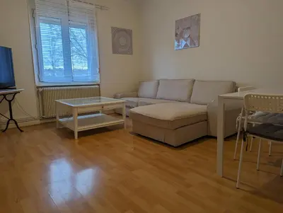 Coin salon dans l'établissement Le Bâlois - appartement 2 chambres, salon, cuisine équipée, parking et wifi gratuit